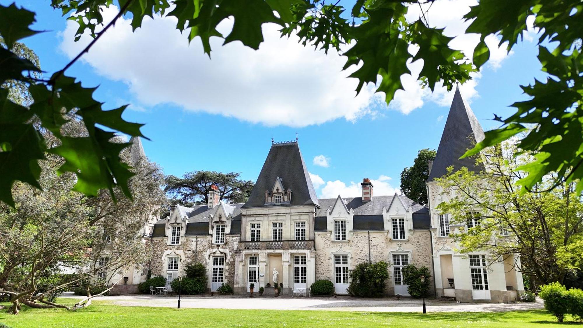 Chateau Du Bois De La Noe Bouaye Luaran gambar