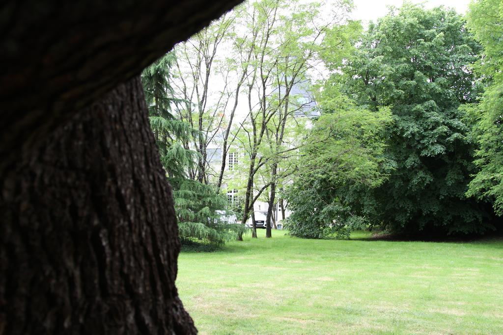 Chateau Du Bois De La Noe Bouaye Luaran gambar