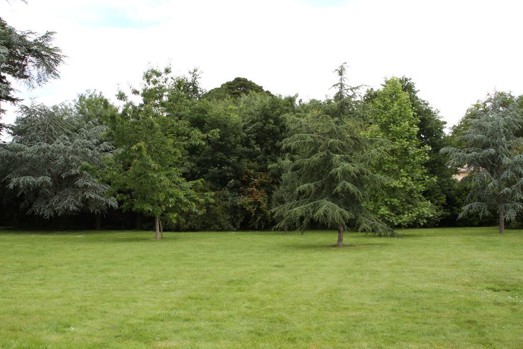 Chateau Du Bois De La Noe Bouaye Luaran gambar