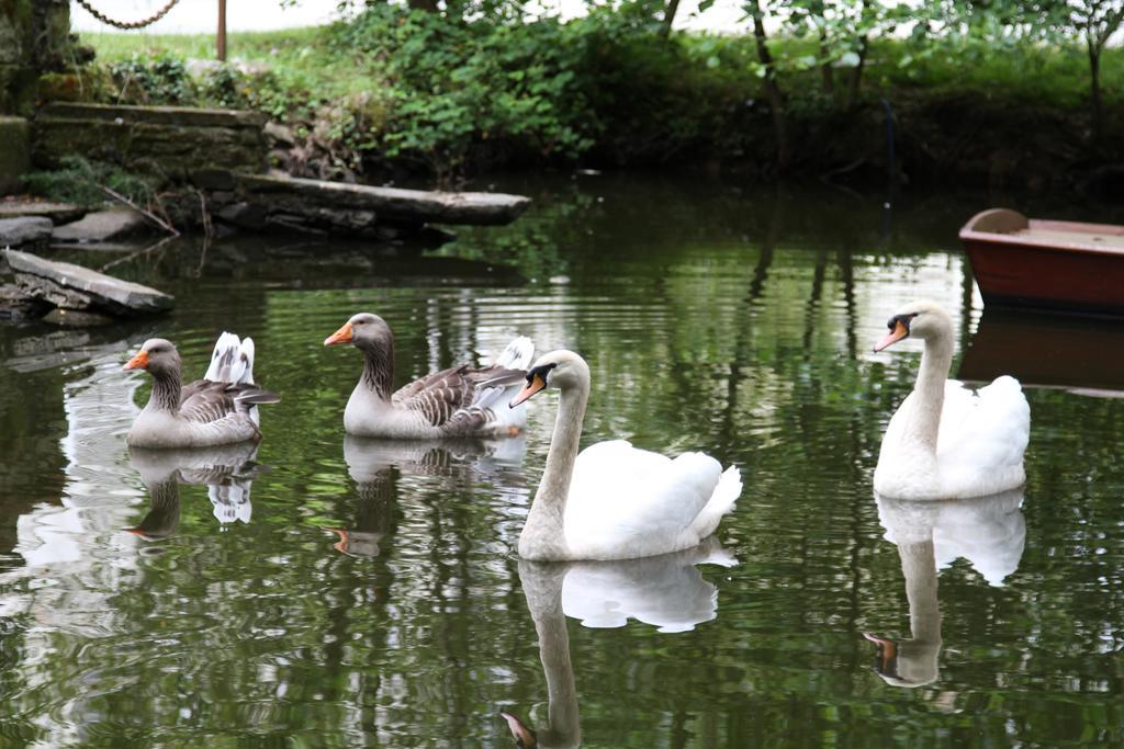 Chateau Du Bois De La Noe Bouaye Luaran gambar